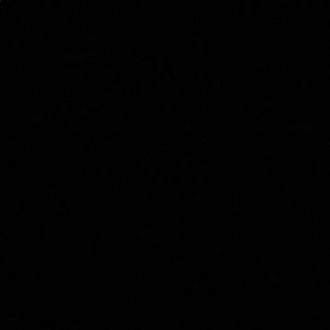 Meet your Posher, Isabelle